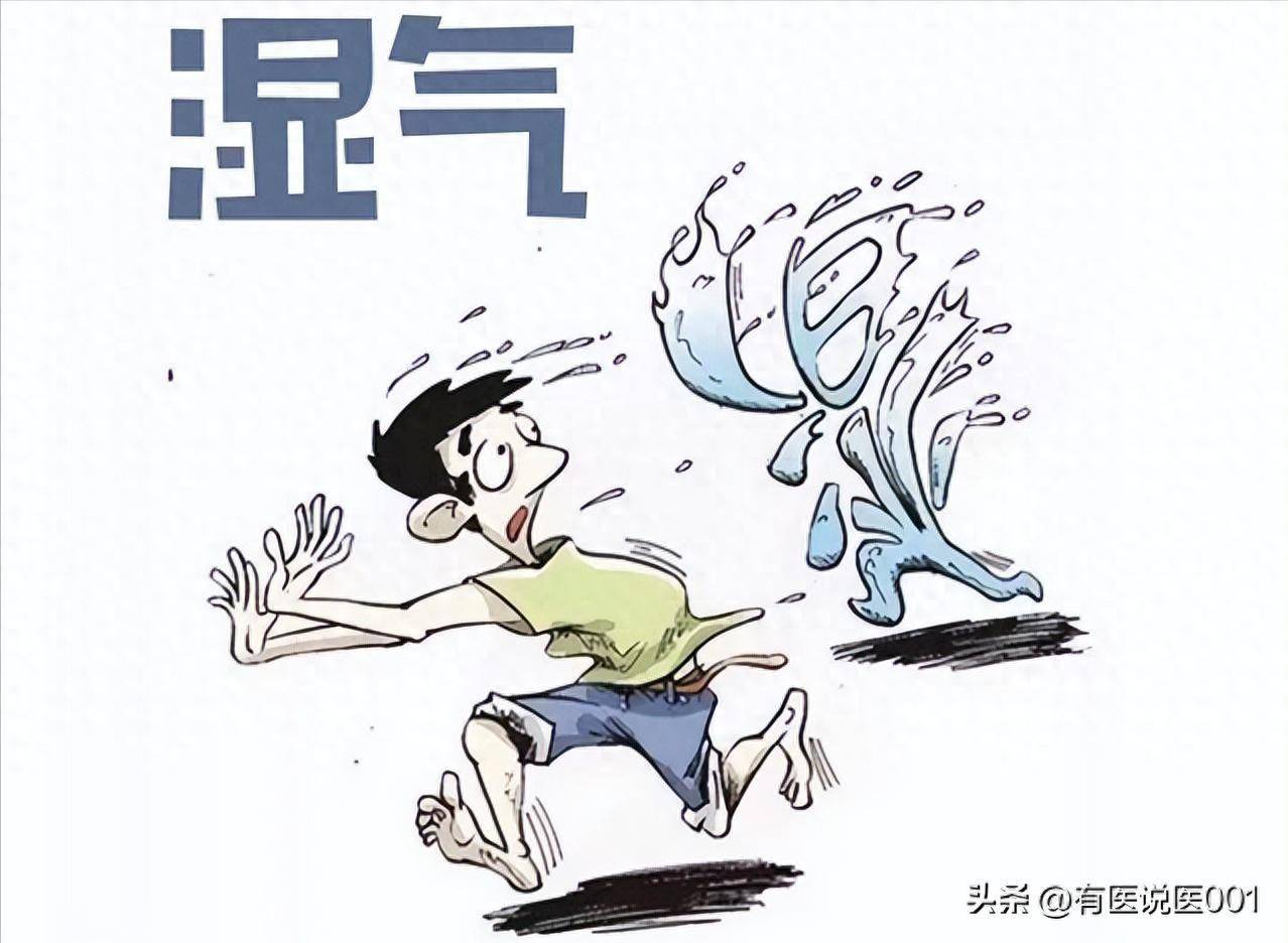 痰多、胸闷、肚子胀？可能是痰湿堵三焦，仲景三味药帮你化痰祛湿