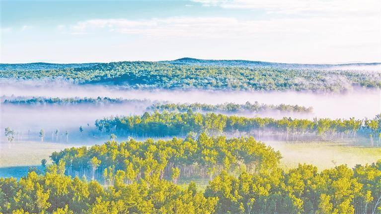 科学营林 绿富共生