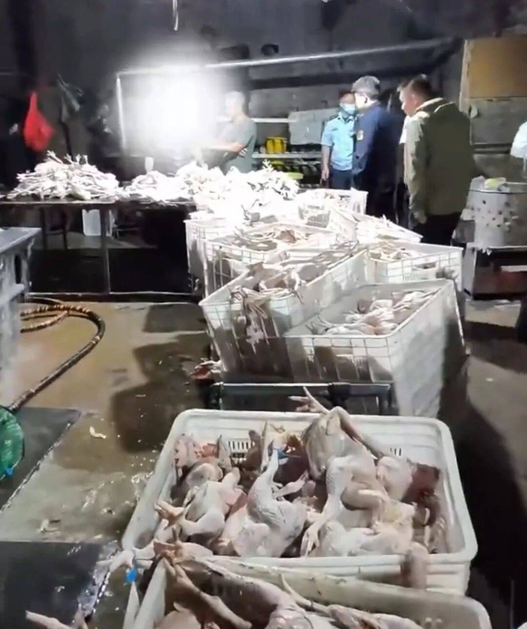 触目惊心！内蒙古一注水鸡黑窝点污水横流，大量鸡内脏腥气扑鼻，官方通报：查封并立案调查