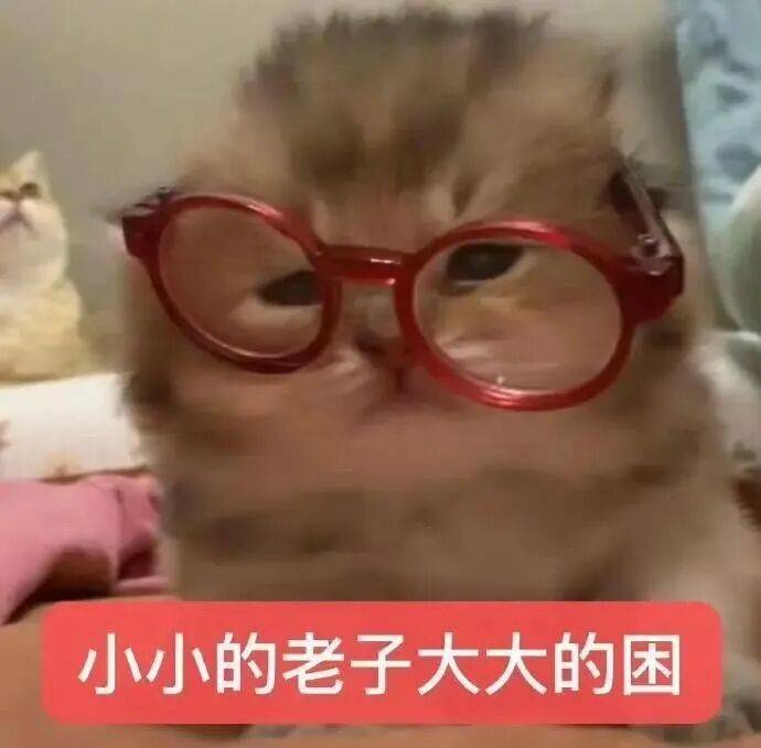 小布说天气 | 秋天一定要多晒太阳！