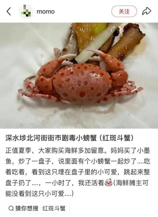 惊魂一刻！买海鲜混入毒蟹，炒熟险些端上桌！螃蟹季，警惕这些致命海洋“毒物”