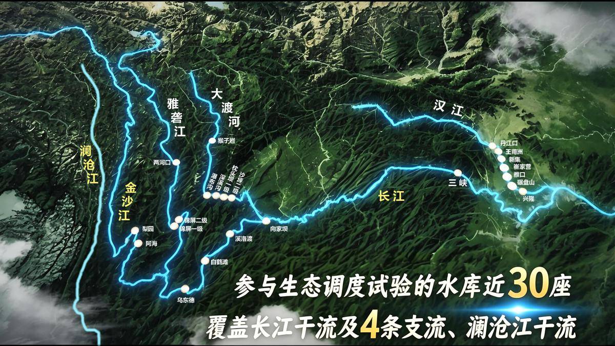 “洪水塑造”模拟鱼类“产房”，三峡水库生态调度成效显著，鱼类产卵量创新高