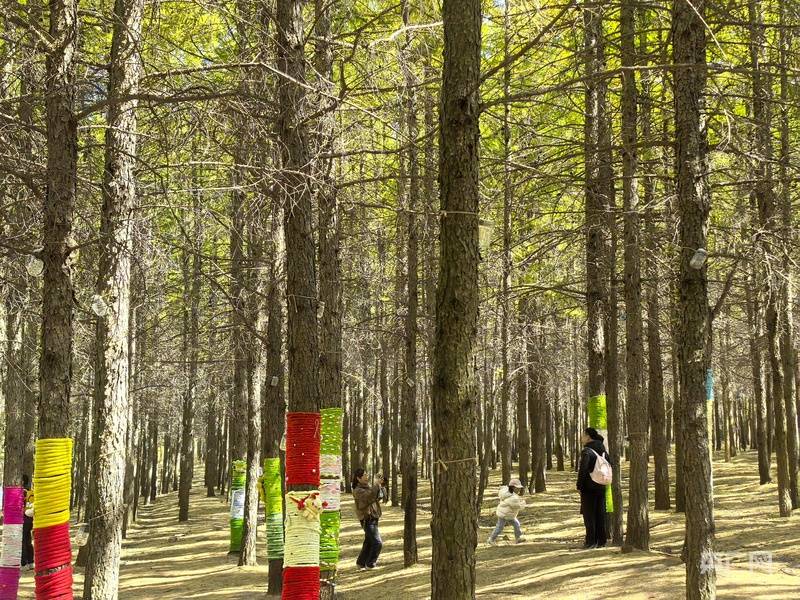 呼和浩特高山草原在哪里__高山云海呼和浩特