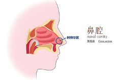 文章配图-1