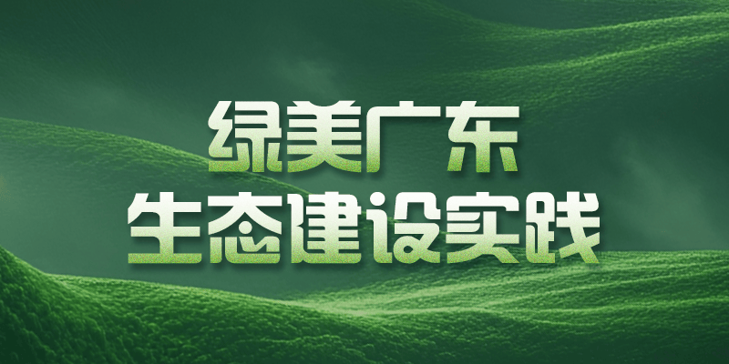 又到候鸟南飞时！广东省启动2026年候鸟护飞行动