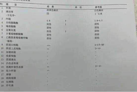 【科普】保姆级教程，帮你看懂白带/阴道分泌物化验单！