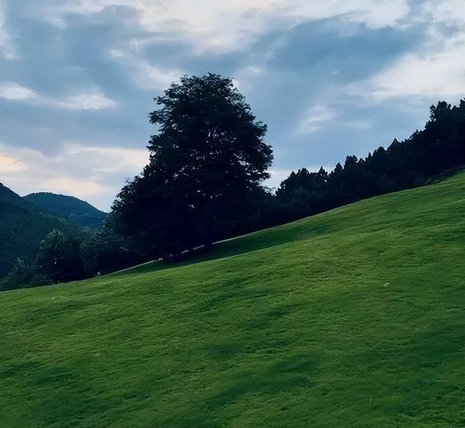 文章配图-2
