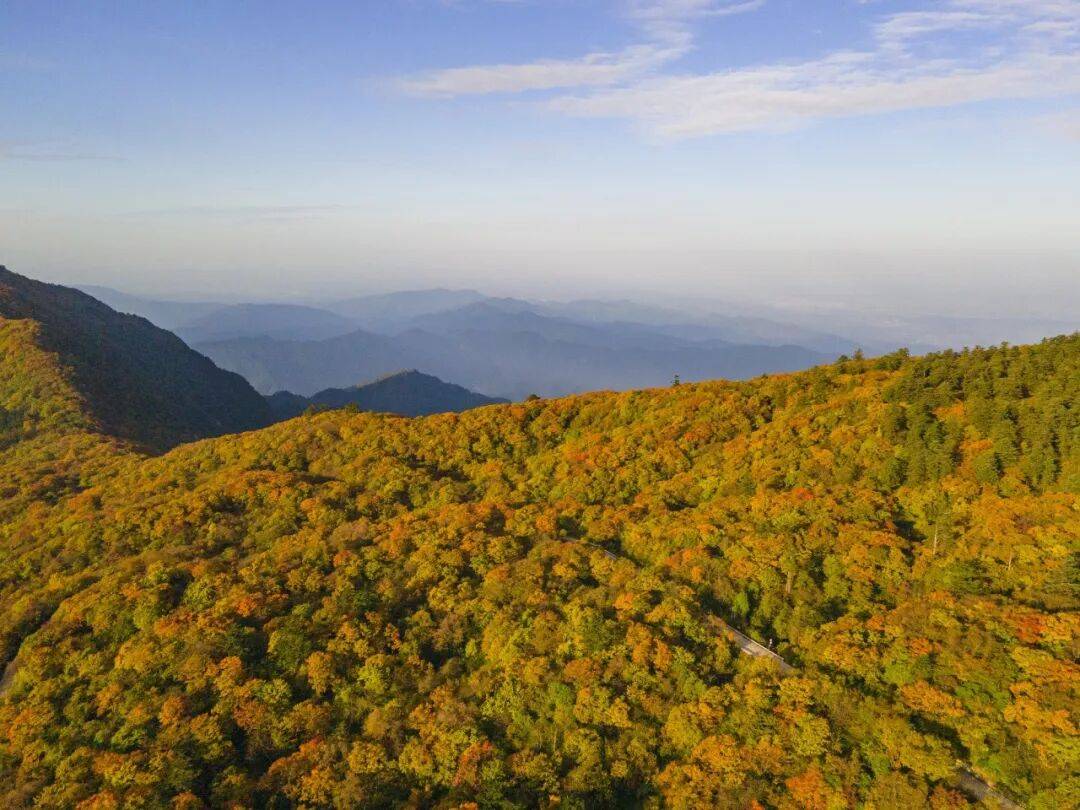 峨眉山秋景即将达到巅峰，还有秋季徒步限定奖牌等你来挑战(图18)