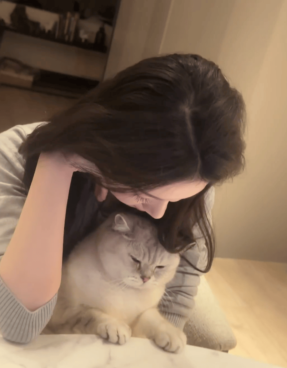 陈瑶晒居家好意思照！抱着猫咪自拍露祥和笑貌可儿迷东说念主